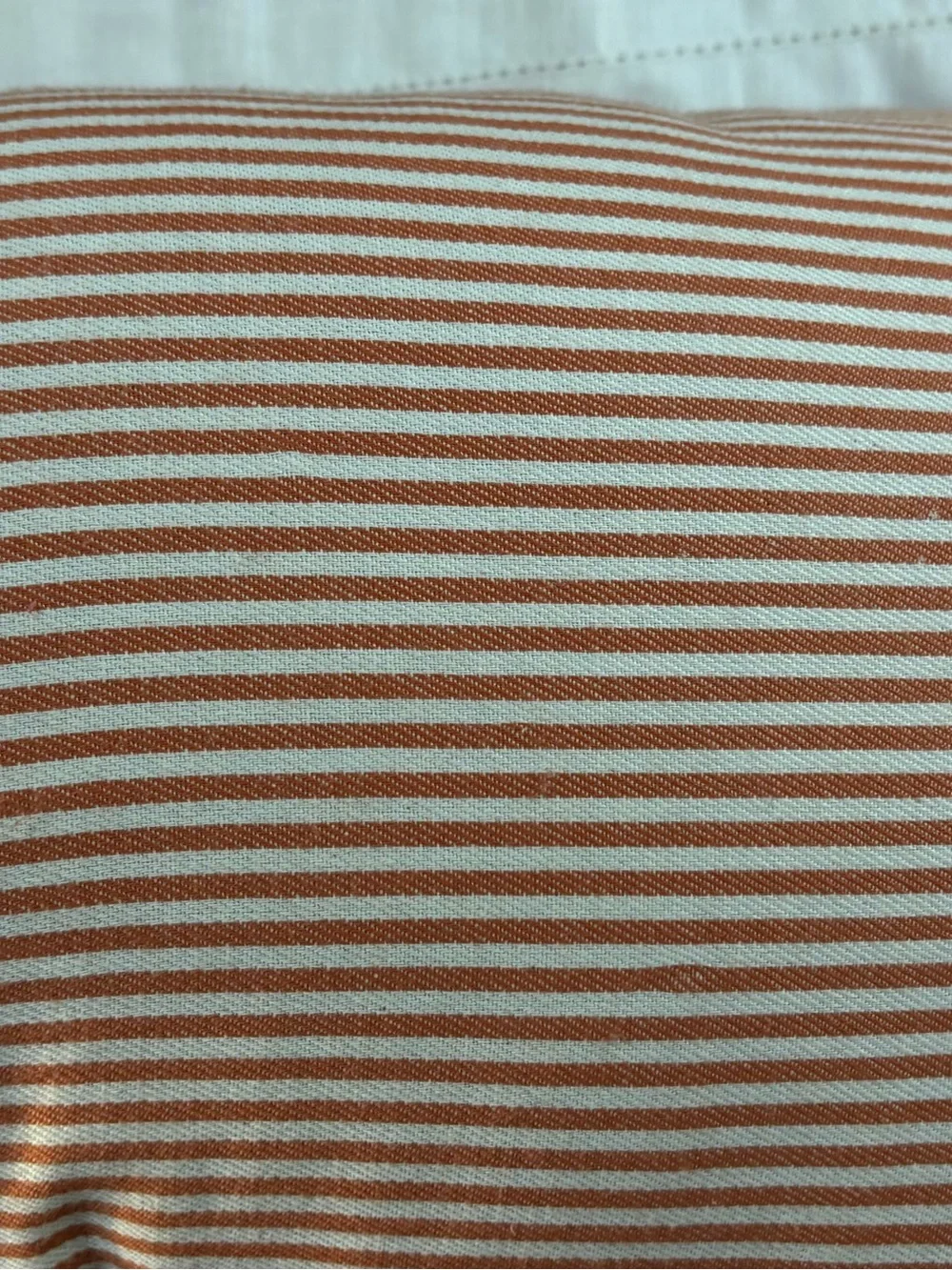 Envogue bold orange